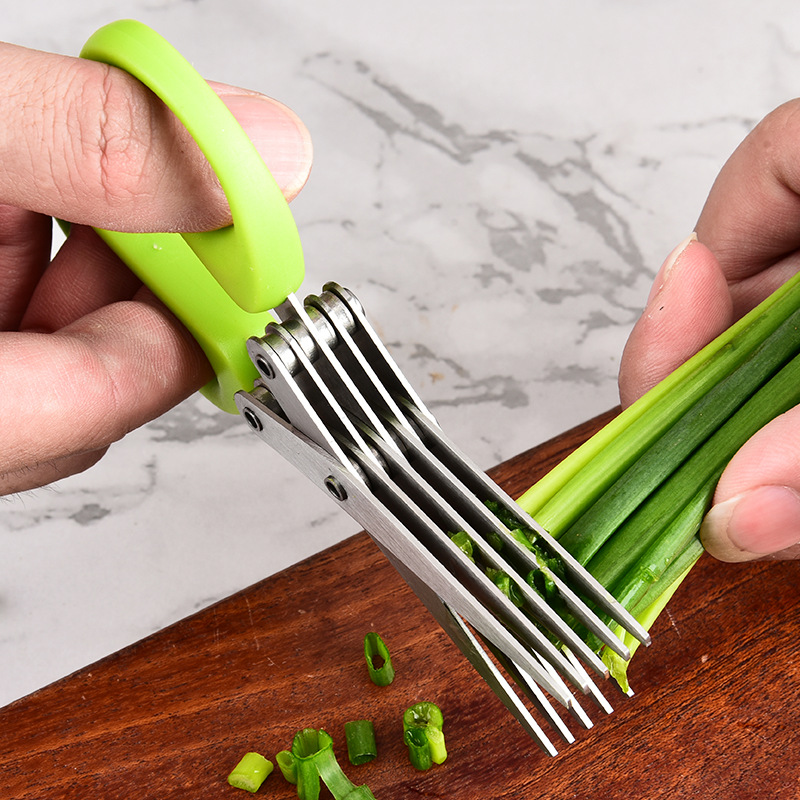 Forbici da Cucina in Acciaio I - Herb Scissors 5 Blade recensione e prezzo