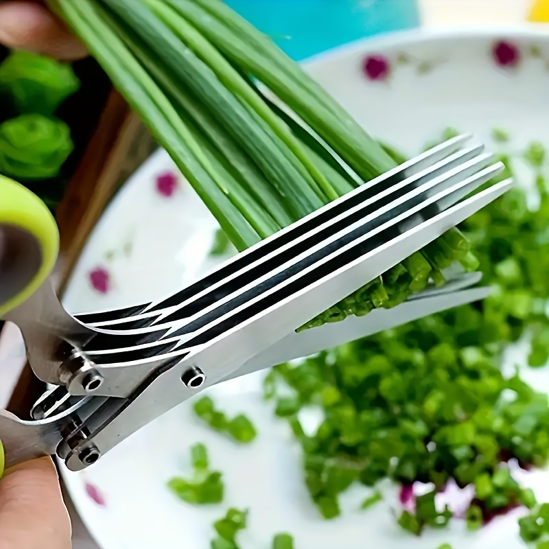 Forbici Multiuso in Acciaio In - Herb Scissors 5 Blade recensione e prezzo